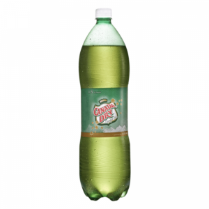 SODA CANADA DRY 1L