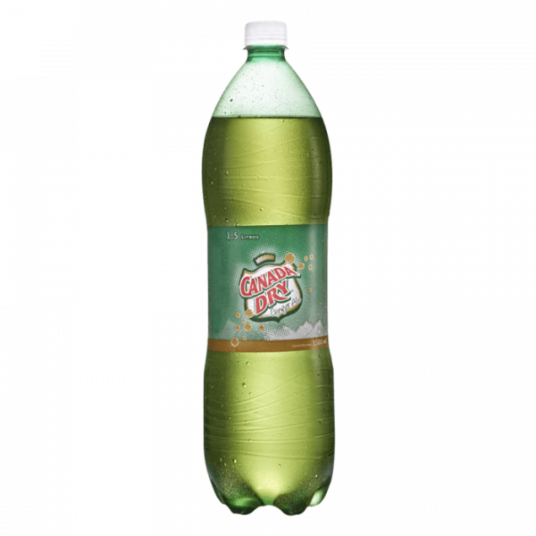 SODA CANADA DRY 1L